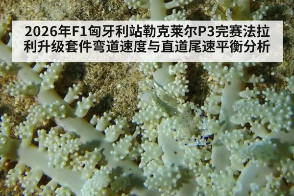 2026年F1匈牙利站勒克莱尔P3完赛法拉利升级套件弯道速度与直道尾速平衡分析